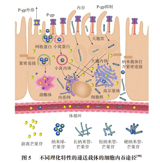 《食品科学》：中国农业大学李媛教授等：食源性活性物质稳态化及靶向递送载体的研究进展